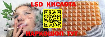 стафф Моздок
