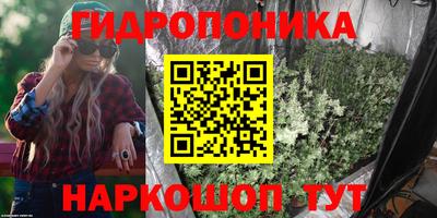 мет Можга