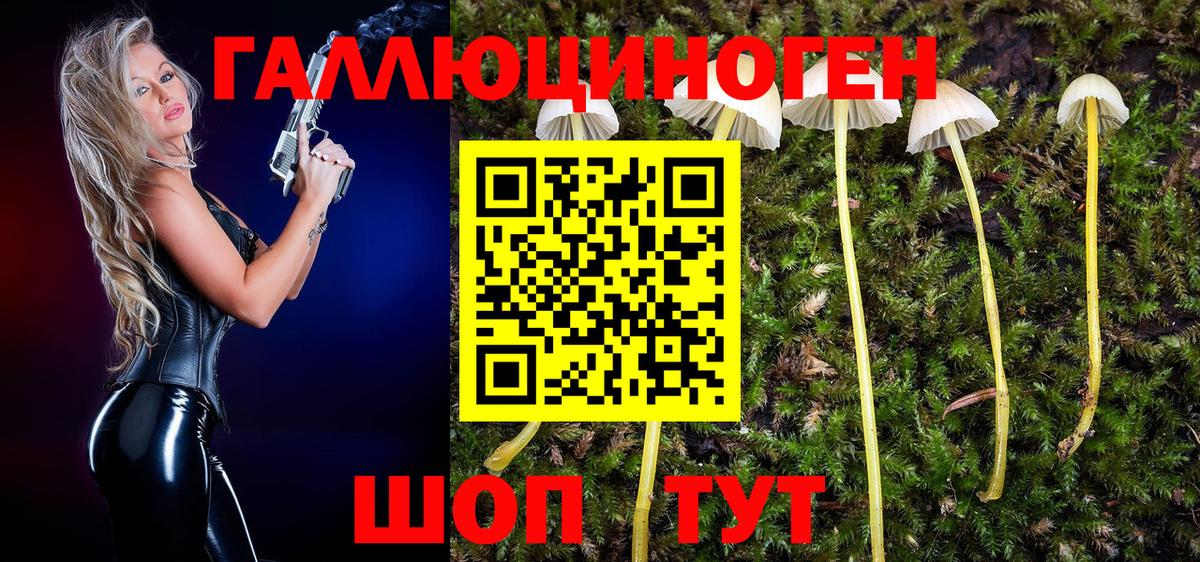 Галлюциногенные грибы MAGIC MUSHROOMS Чайковский